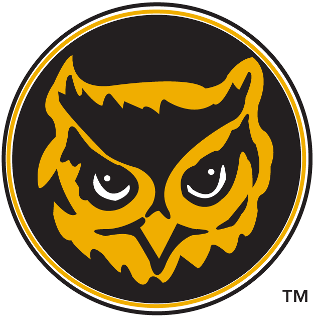 Kennesaw State Owls 1992-2011 Alternate Logo diy iron on heat transfer
